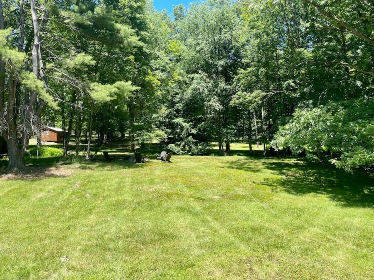 Coon Creek Cottage minutes from National Forest - Housity