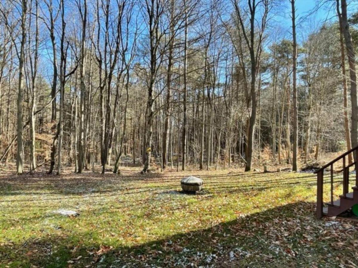 Cozy Cottage near Cook Forest Park, ANF - Housity