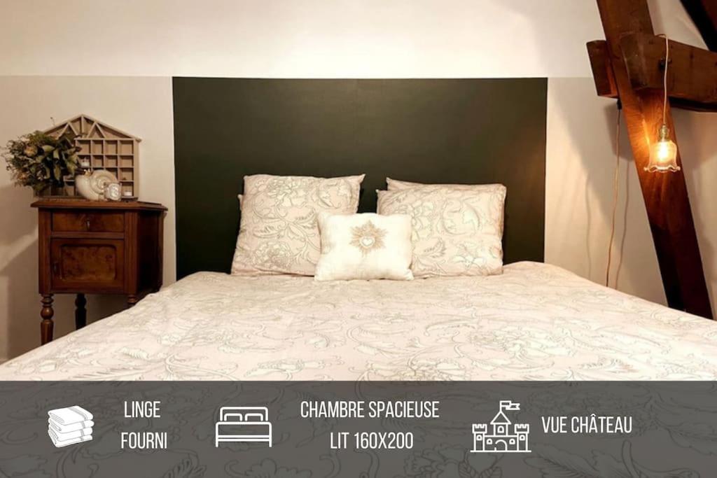 Grand appartement place Saint-Pierre, proche Château de Saumur et bord de Loire" - Housity