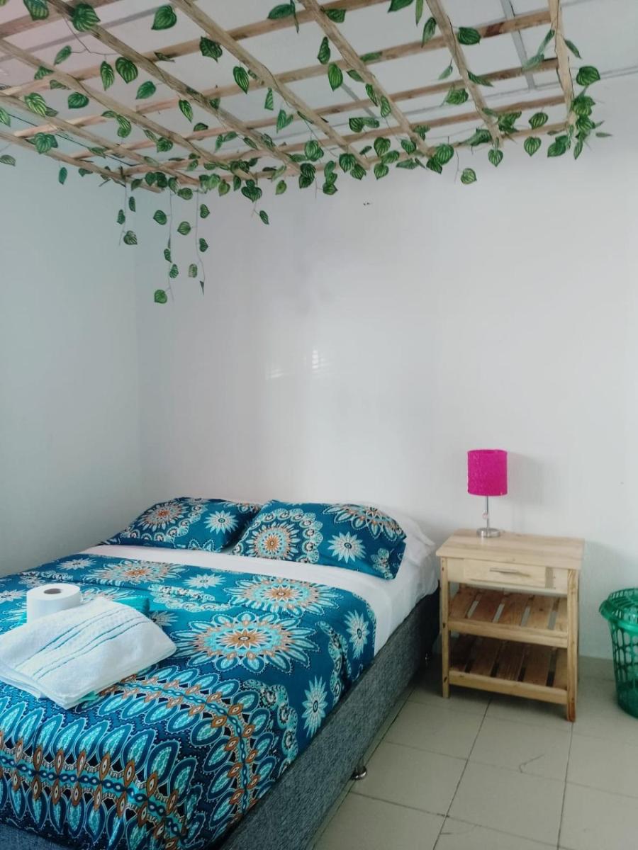 Cat family lodging - Housity