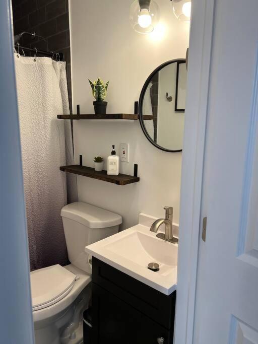1 Brand New Studio for two people - Housity