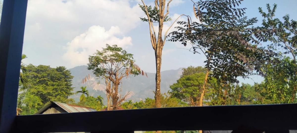 Jayanti forest Inn - Housity