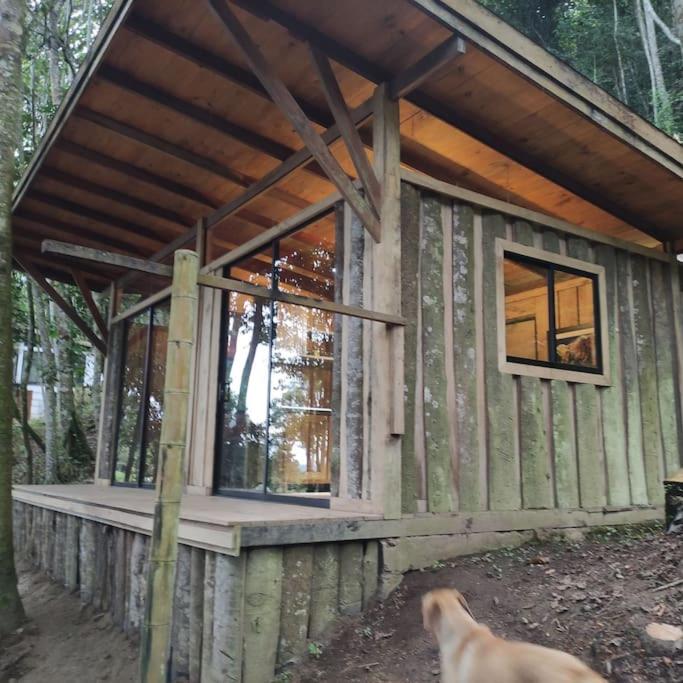 Zen Oasis del Bosque, ¡A place to reconnect! - Housity