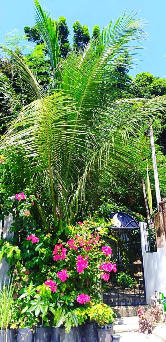 Cozy 1-bedroom house in quiet residential village. - Housity