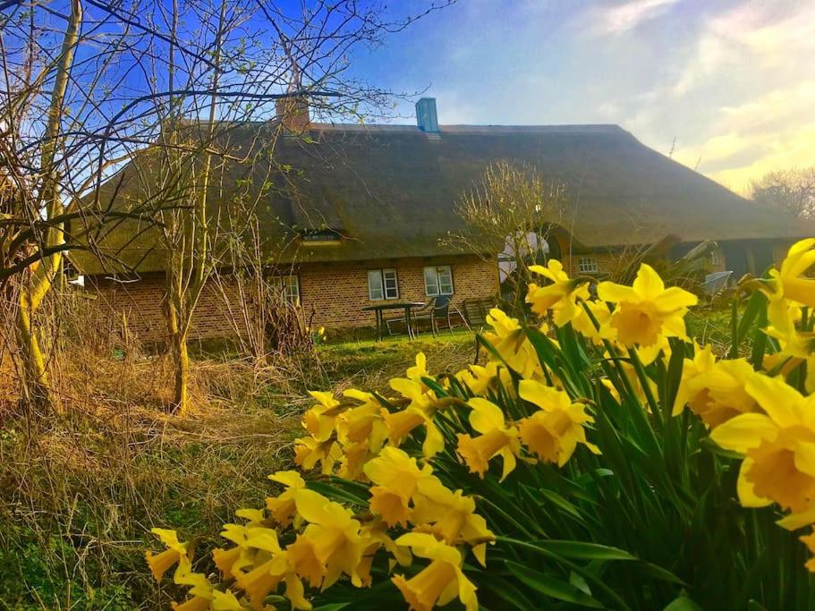 Suitetrails - Ferienwohnung mit Luxusbad, Terrasse Ostseenähe