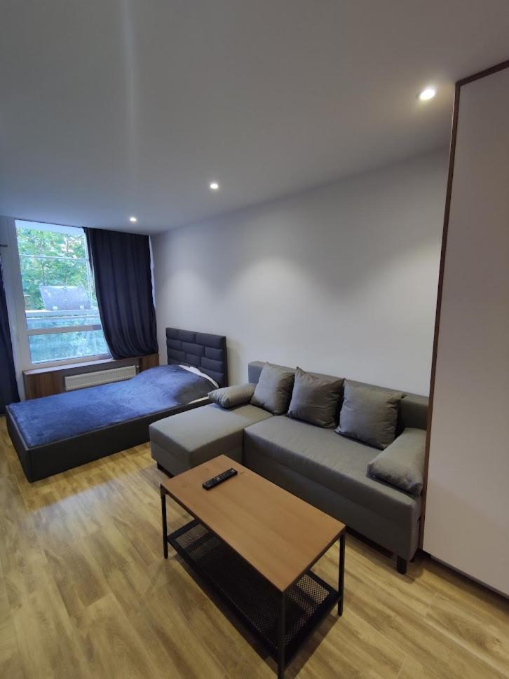 Apartament u Dziubasków - Housity
