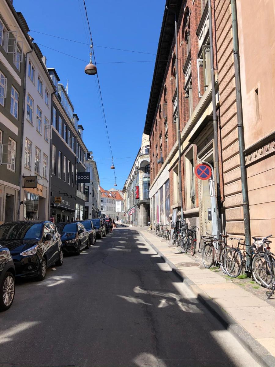 Cosy penthouse Apartment in the heart of Copenhagen - Hizvo