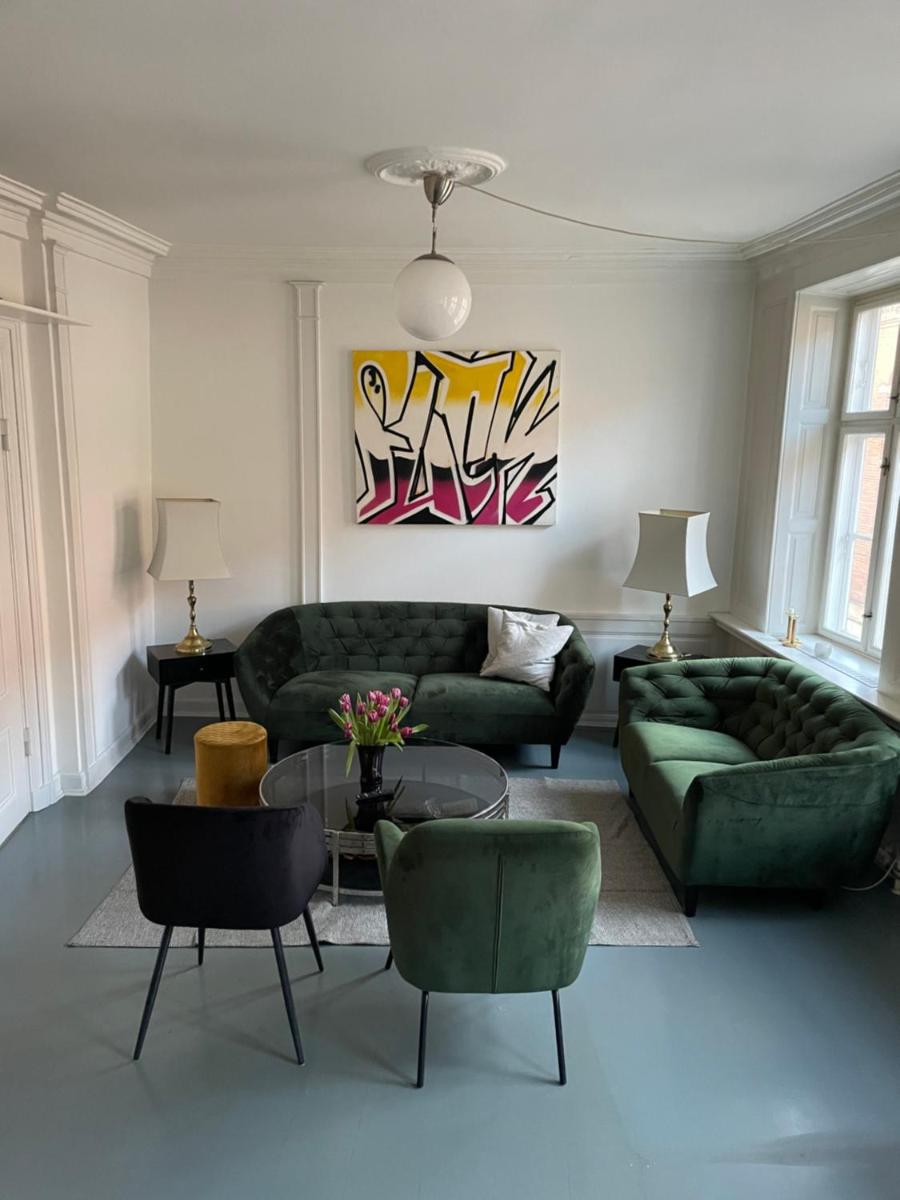 Cosy penthouse Apartment in the heart of Copenhagen - Housity