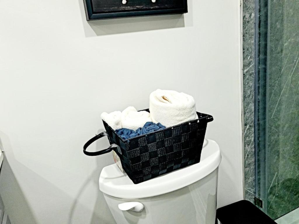 Comfy Guest Suite with Private Entrance - Housity