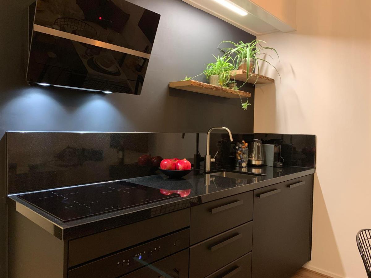 2 Double floor Delft City Centre new family apartment 38C - Housity