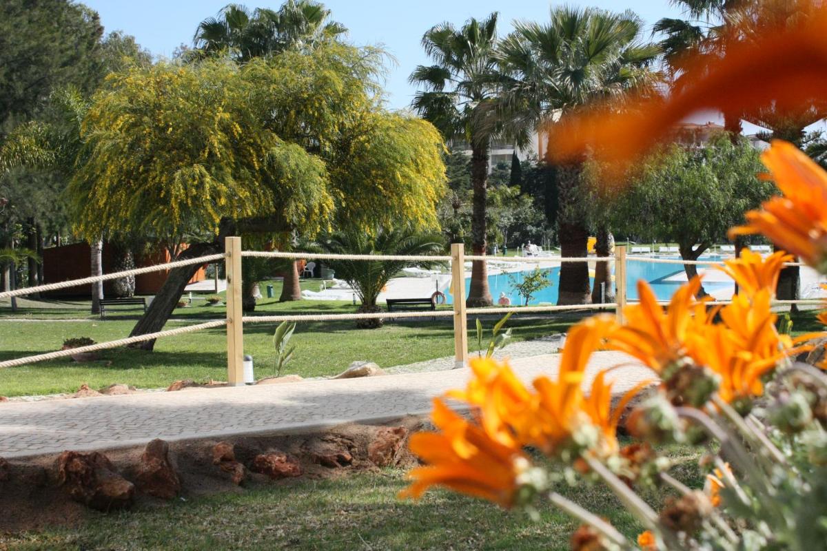 A piscina em ou perto de Vila Petra