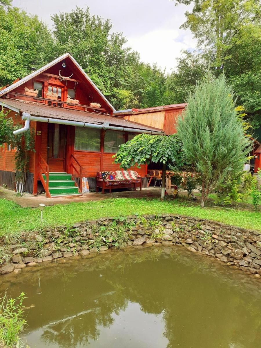 Cabana Cheile Valisoarei - Housity
