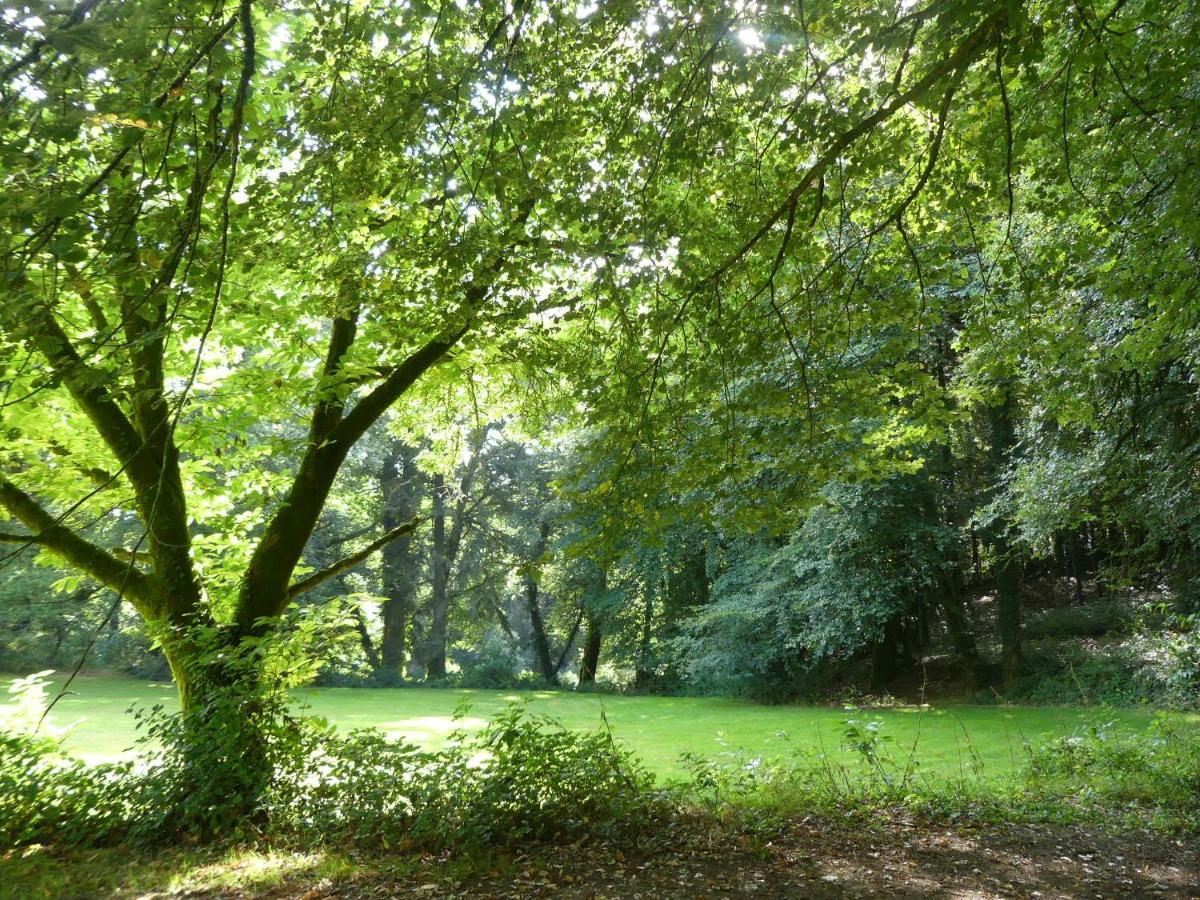 FORET TOTEM - en forêt 3 écogîtes avec 3 étoiles et 1 avec 2 étoiles - classement 2024 - Housity