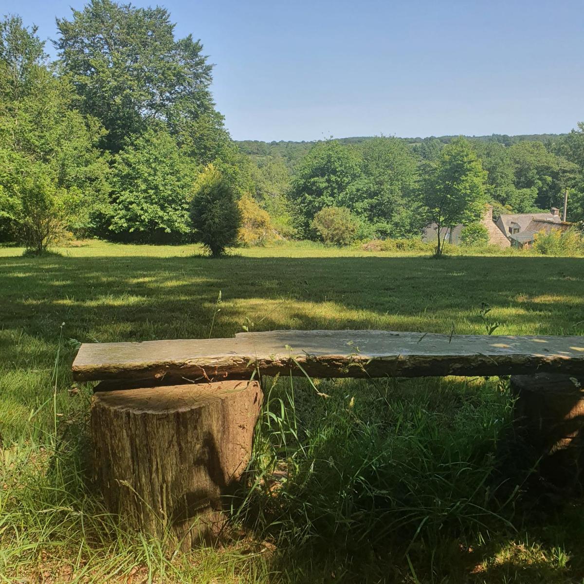 FORET TOTEM - en forêt 3 écogîtes avec 3 étoiles et 1 avec 2 étoiles - classement 2024 - Housity