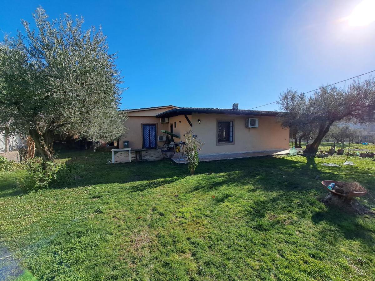 Casa nel verde a Monterotondo - Housity