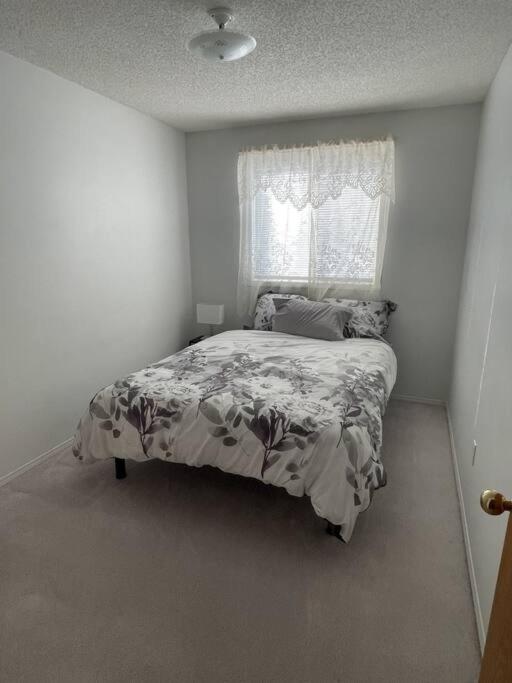 Cozy Home - Housity