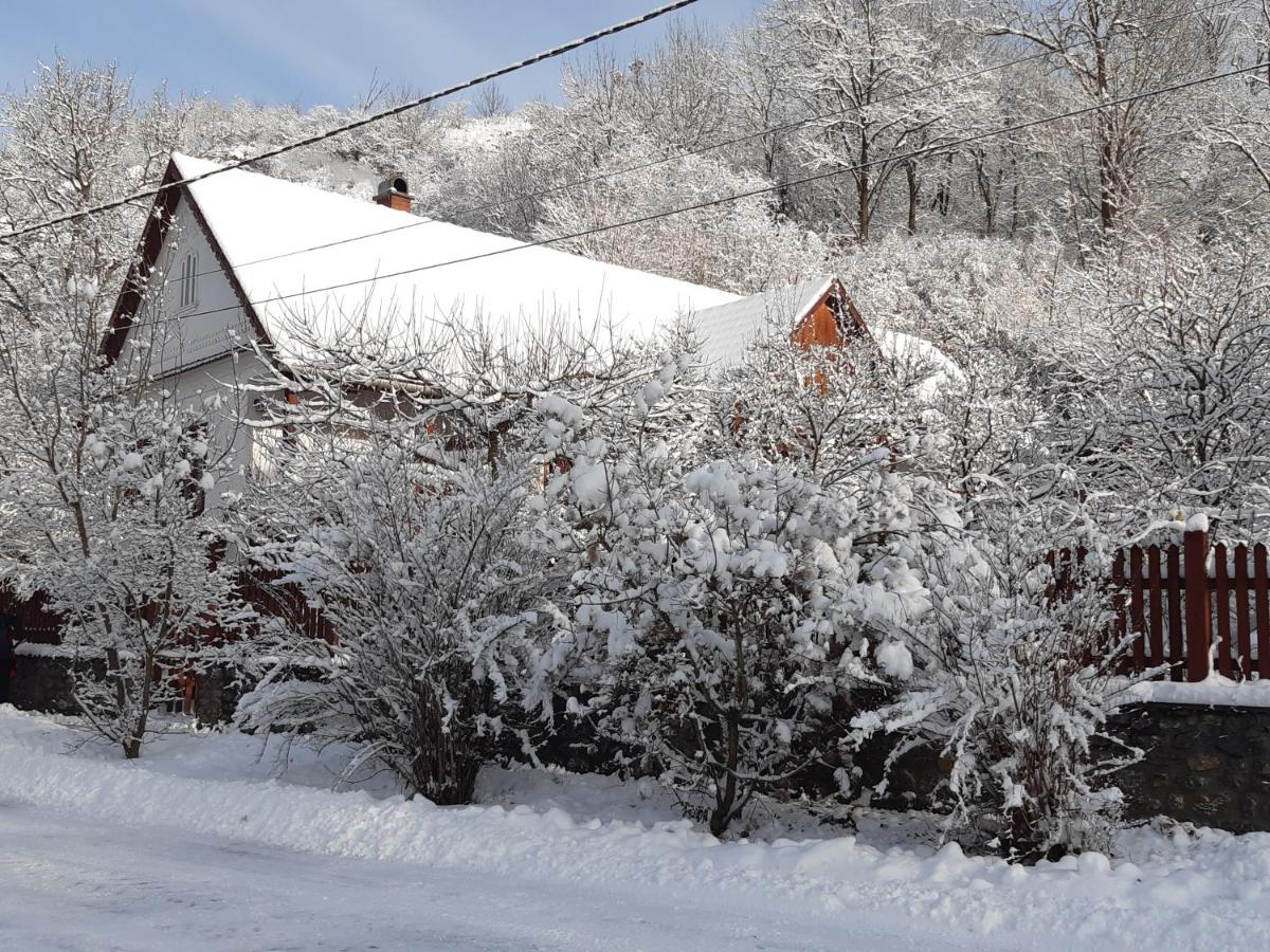 Forrásvölgy vendégház - Housity