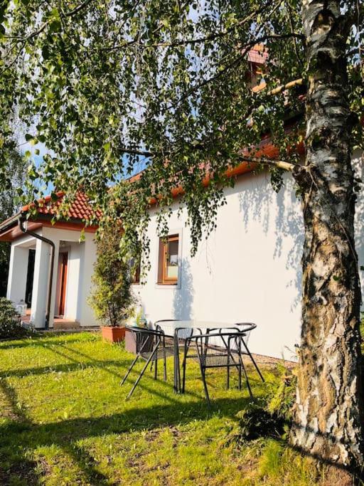 Apartmán se zahradou 20 minut do centra Prahy - Housity