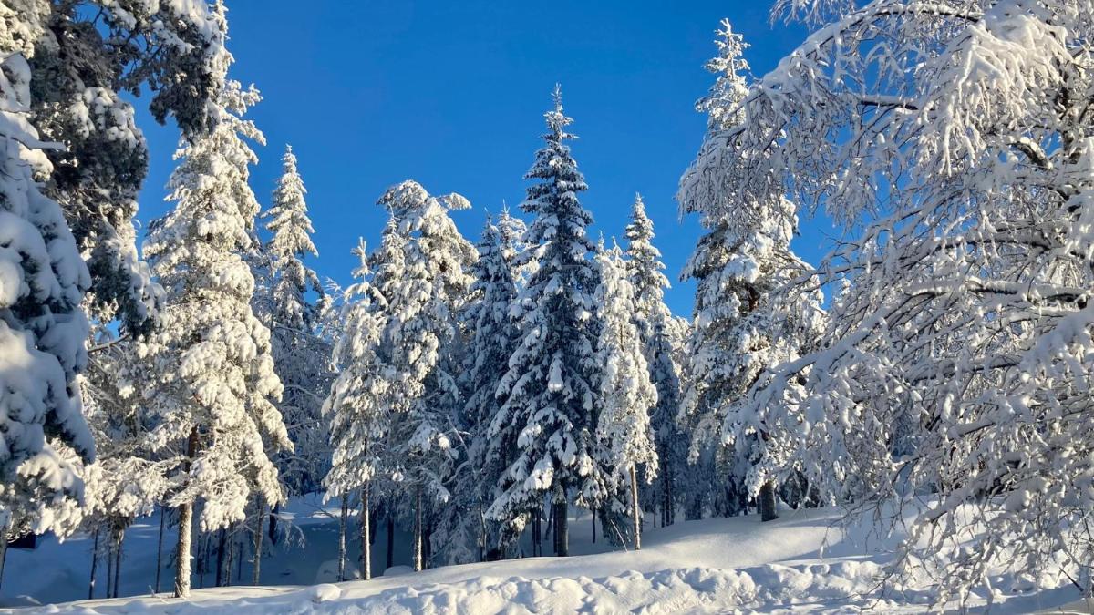 Holiday Home Långberget - Housity