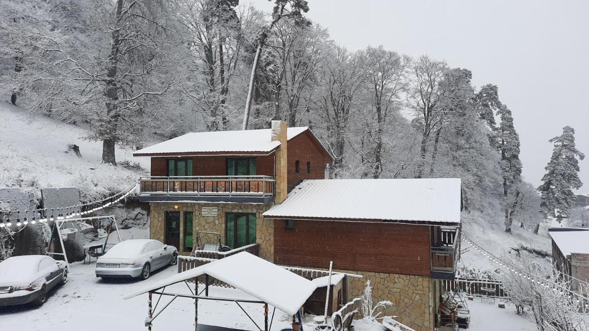 Villa A Barleon Bakuriani - Housity