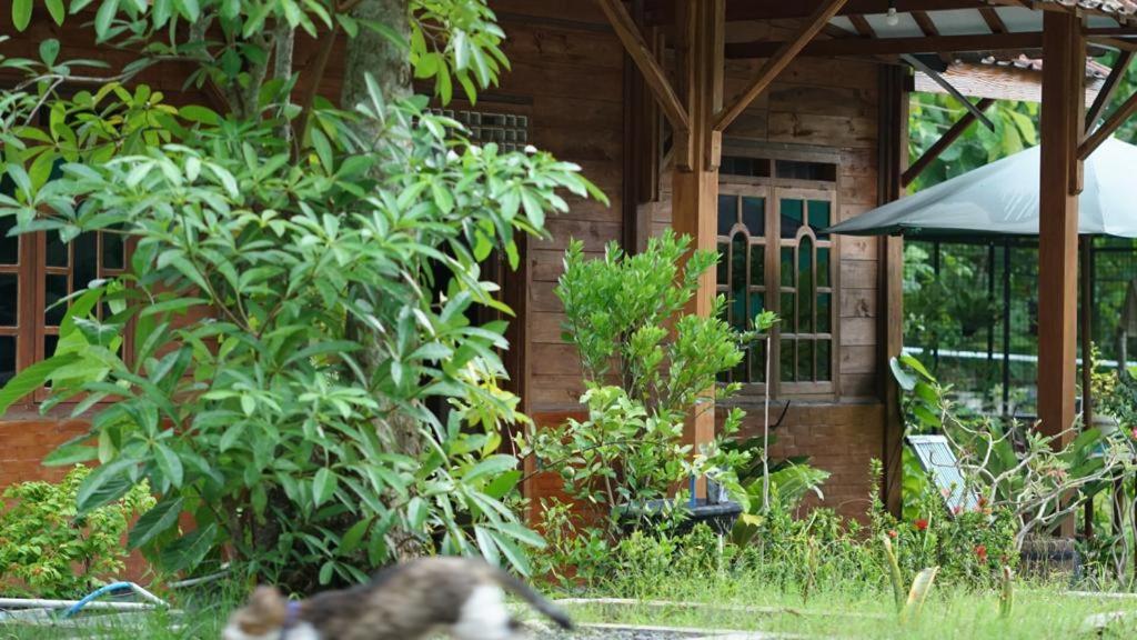 Waiki Rumah Kayu - Housity