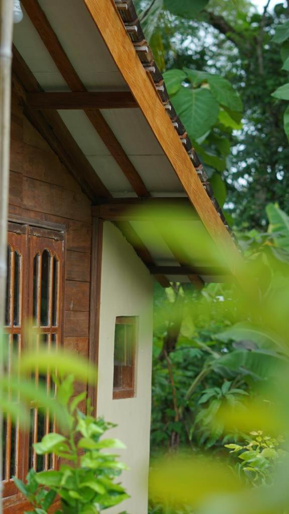 Waiki Rumah Kayu - Housity