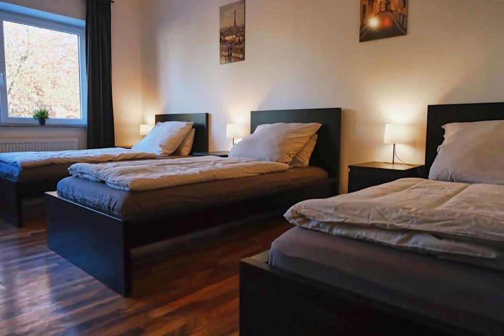 Schöne 4-Bettzimmer Wohnung in Celle - Housity