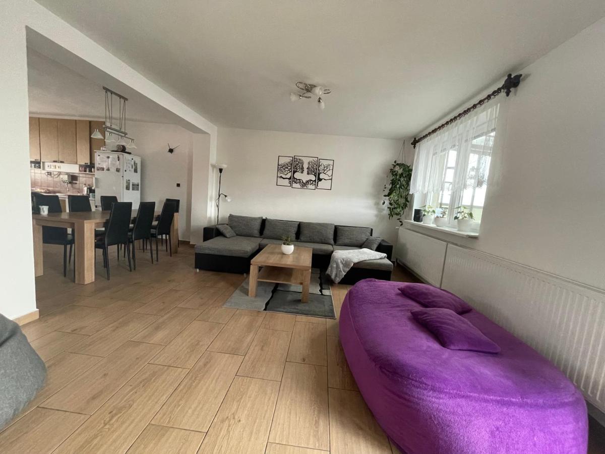 Friendly house in Bořetice - Housity