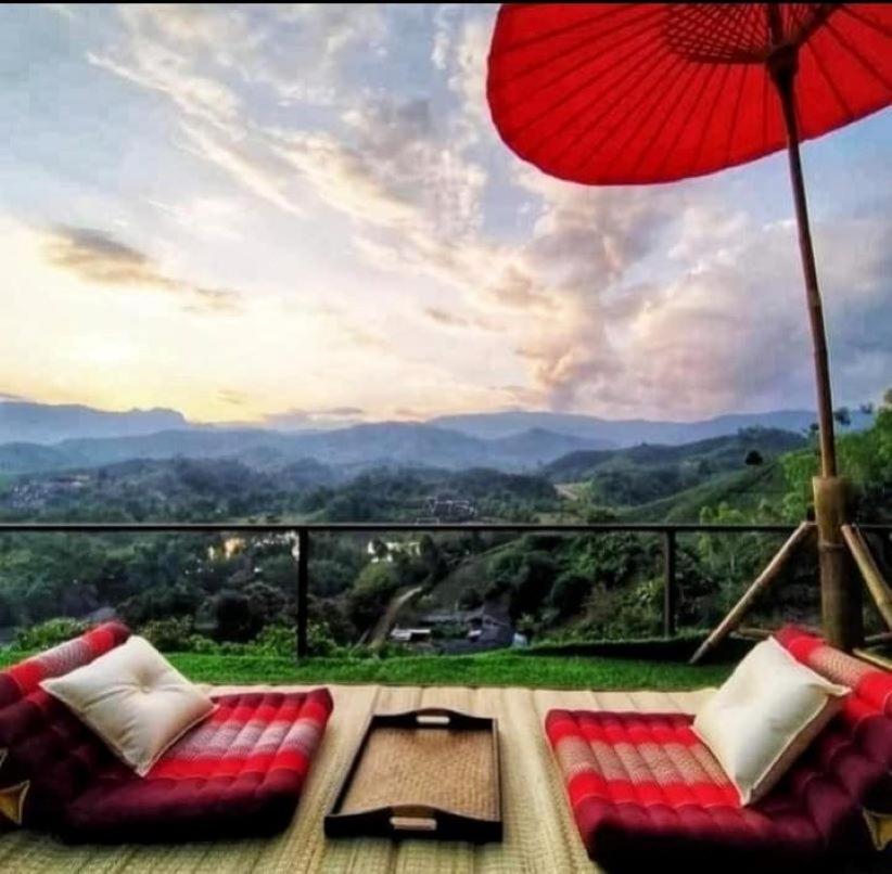 Flower hill 180 - Housity