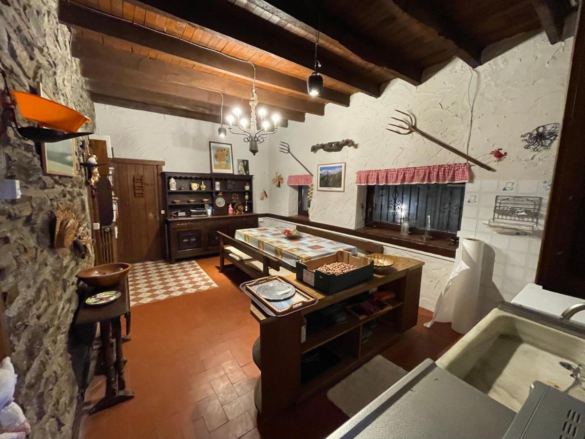 TXORIENEA Rural - Housity