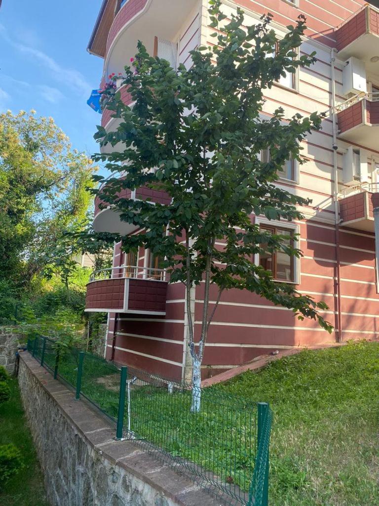 Sure Hause - Housity