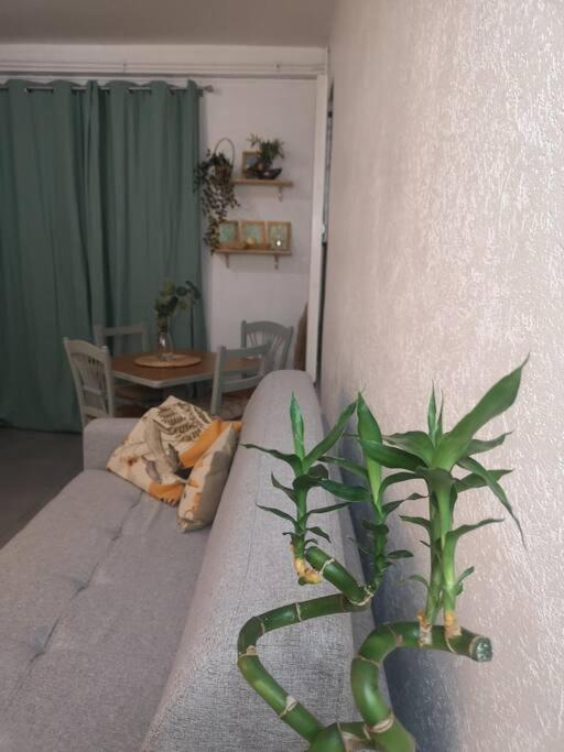 BNB Le BOHEMIEN Hyper Centre 5' Train Station - Housity