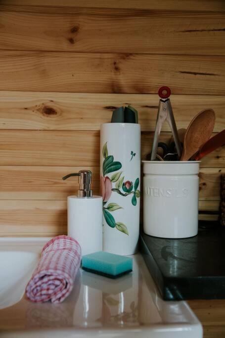 River Side Cabin with Hot tub Snowdonia - Housity