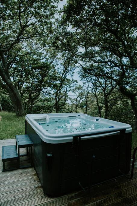 Snowdonia Mawddach Cabin + hot tub - Housity