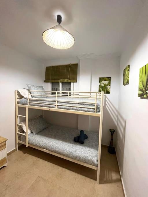 Oasis - Housity