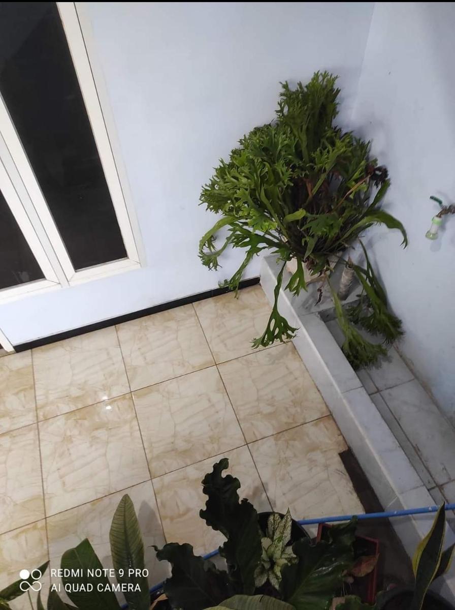 Homestay Pkbm Kendedes - Housity