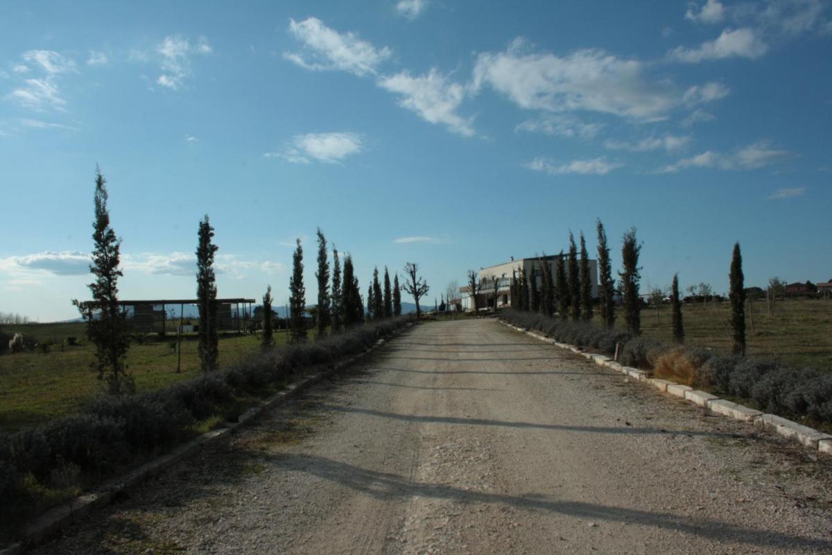 Agriturismo Terra Del Vento - Housity