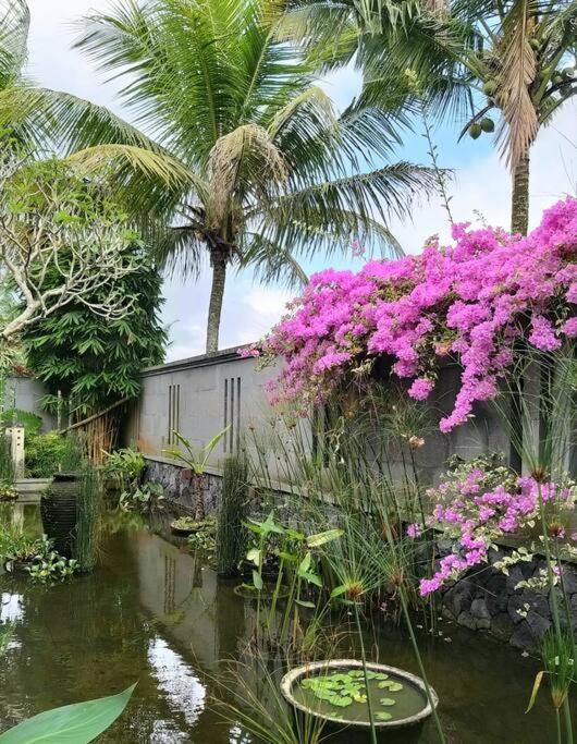 Villa & Farm for 5, near Sidemen w/ Mt. Agung View - Housity