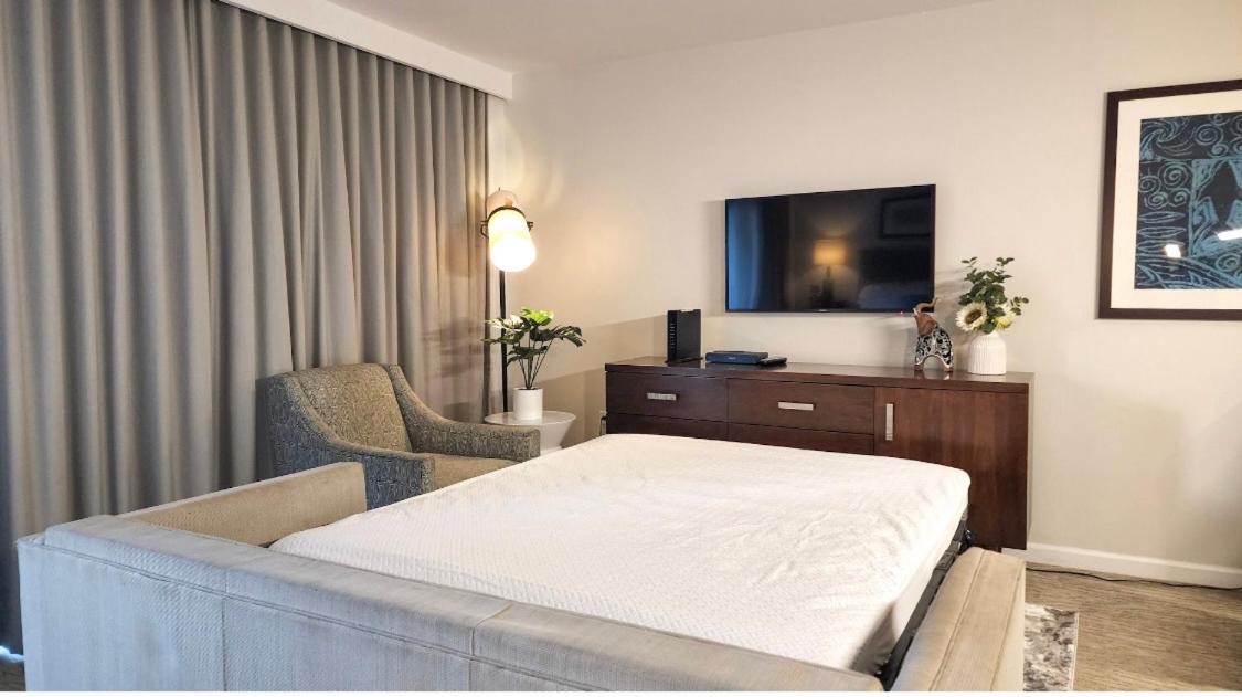 Blue Paradise Suite Free Parking - Housity