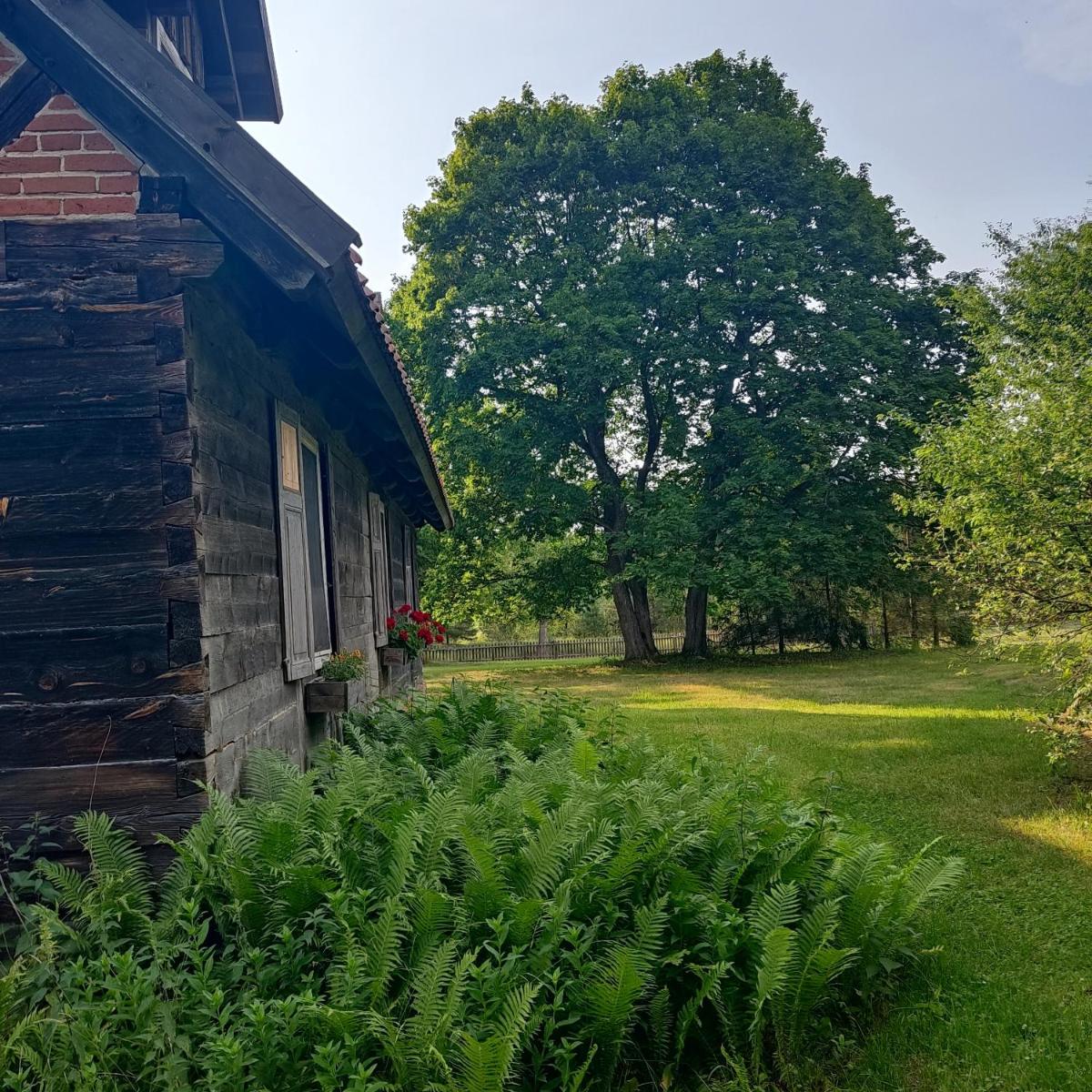 Leśne Apartamenty w Borach Tucholskich - Housity