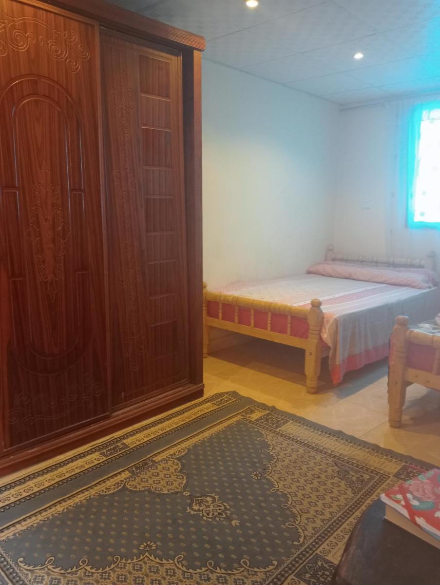 Sphinx Dream Nights Cairo - Housity
