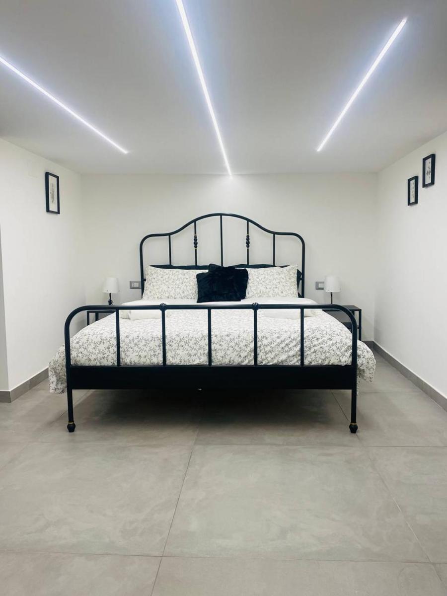 PACINI HOME - Hizvo