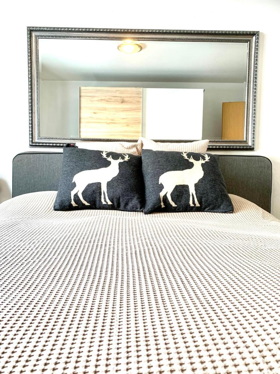 Holiday Apartment Gian - close to the Kongresshaus, the ice hockey stadium, cross-country skiing, the Eau-la-la indoor pool and wellness, large supermarket, 2 bus stops, with an indoor garage and fully equipped - Housity