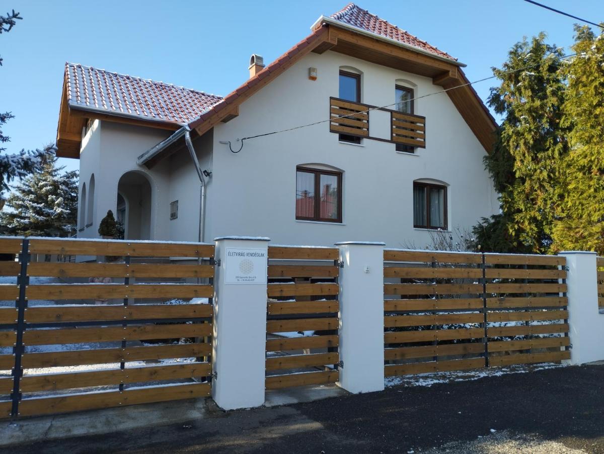 Életvirág Rezidencia és Vendéglak - Housity