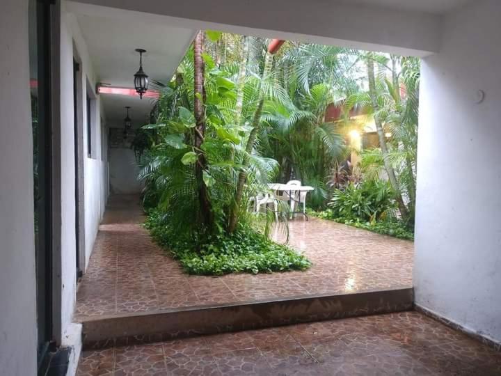 Punto Checo - Housity