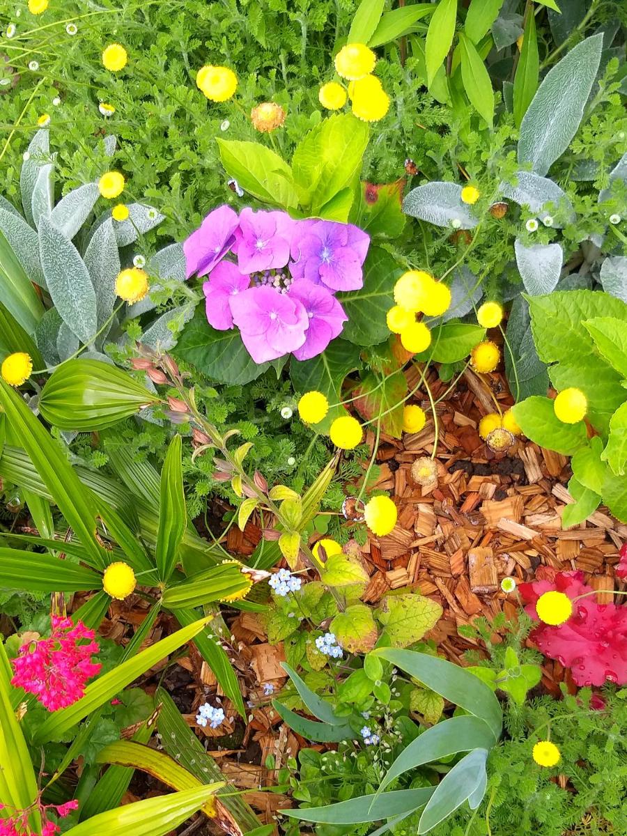 Jardin de l'établissement Hôtel Ginkgo - SPA Biloba