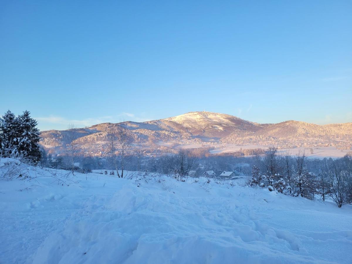 Slope House (Domek na Skarpie) Lipowa - Housity