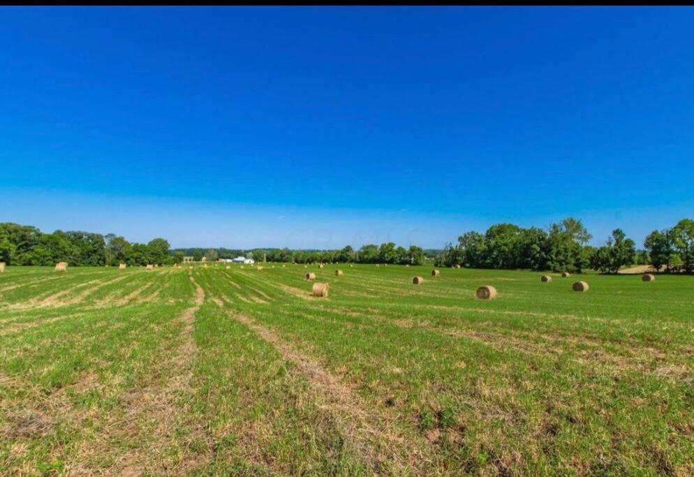North 64 Farms Gorgeous sunrise & sunset view - Housity