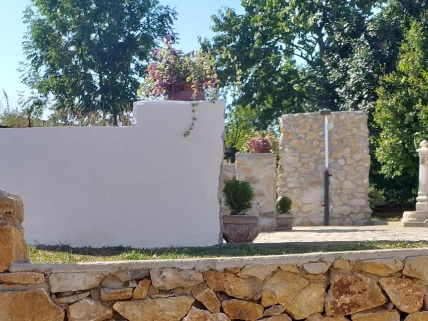 Casa bunicii Carbunari - Housity