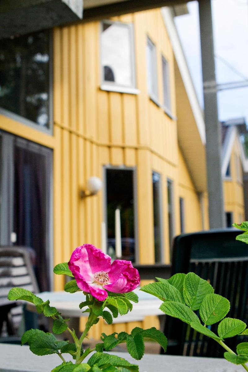 Suitetrails - Ferienhaus Mirow 66